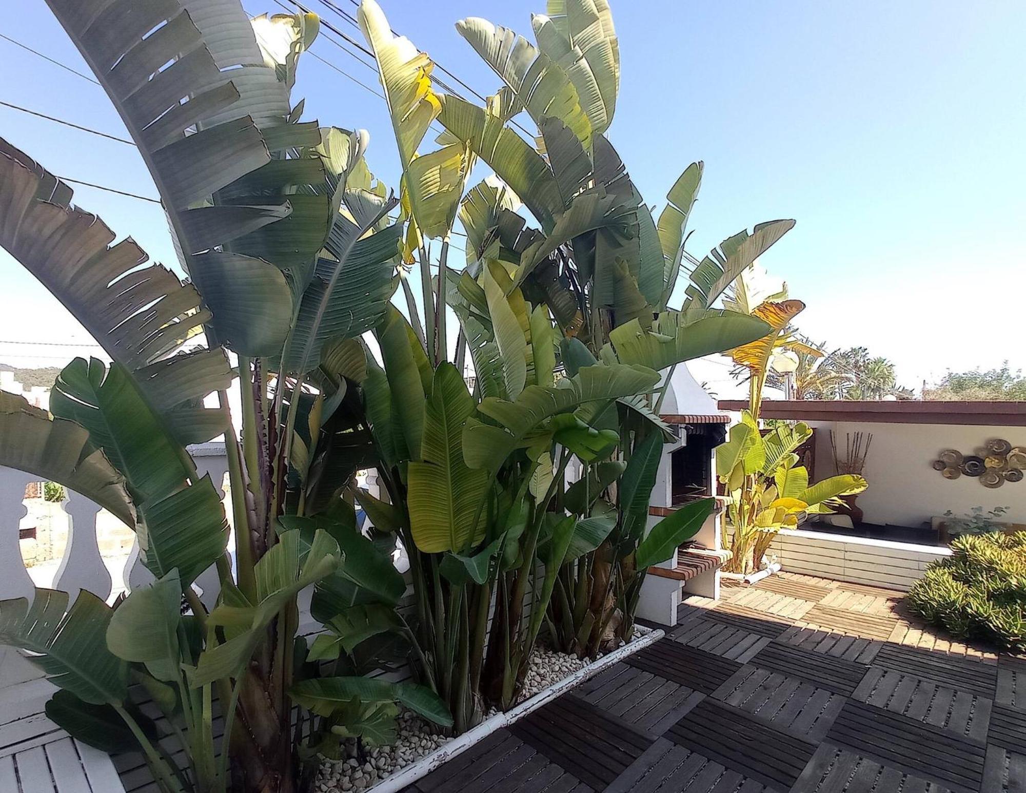 Villa Juncos Can Furnet Ngoại thất bức ảnh